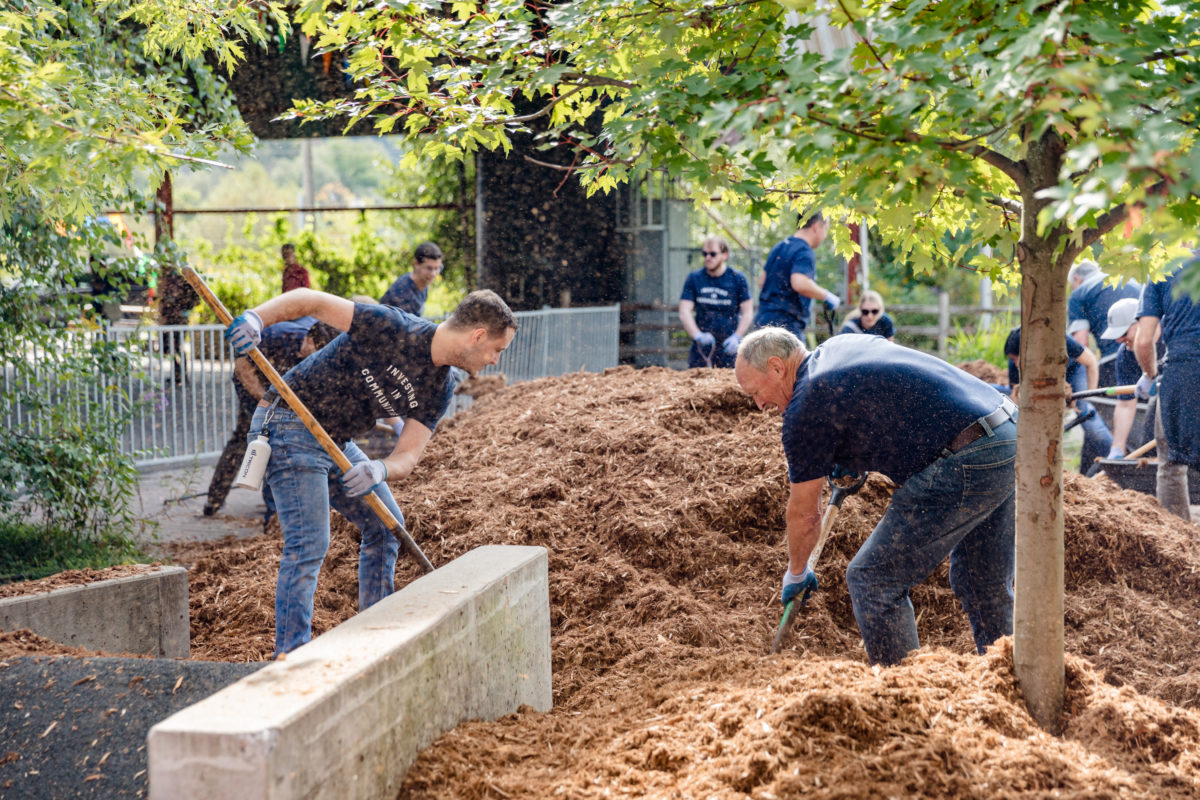 A group of men in matching blue shirts working together shoveling mulch in a park setting.